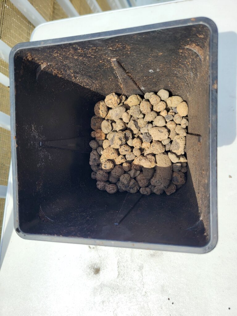 Expanded clay drainage layer inside a large container before adding potting mix