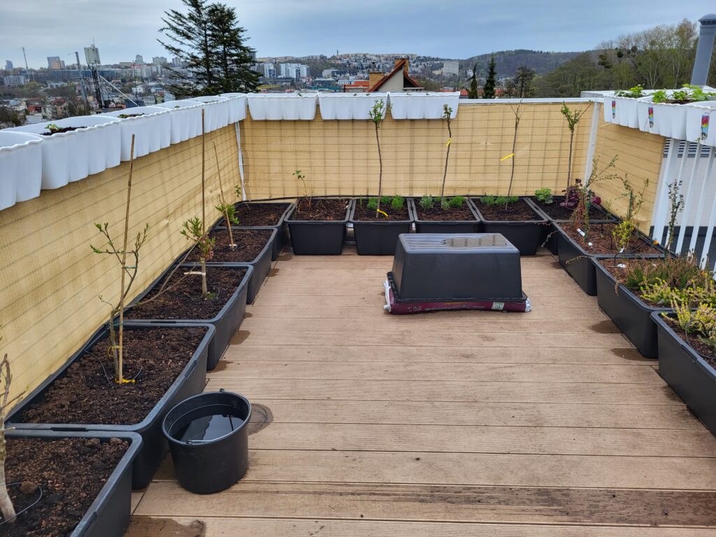  Large empty and newly planted containers arranged on a rooftop terrace