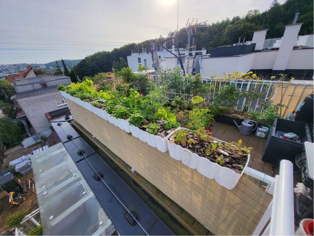 Exposed rooftop garden protected by a porous wind screen along the railing