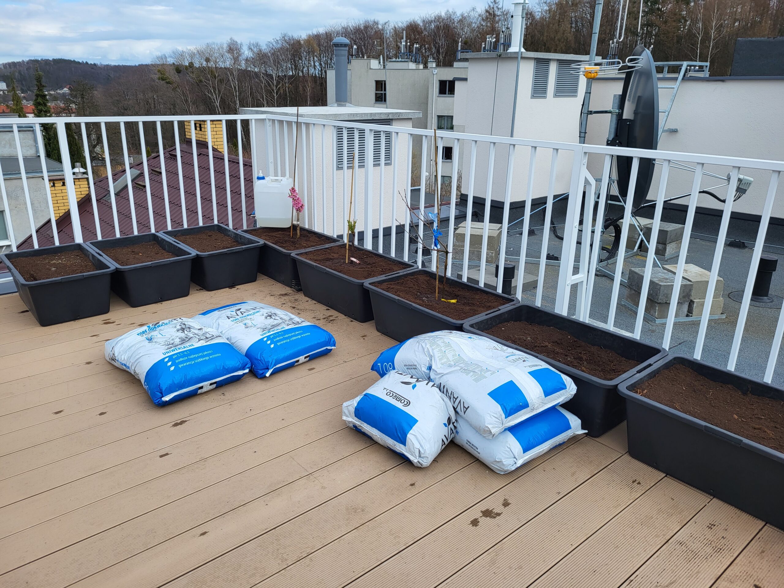 Bags of potting soil beside large containers in a rooftop garden