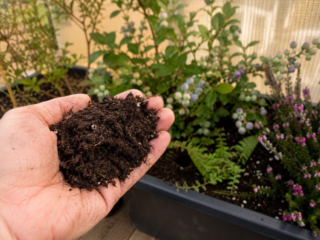 Loose potting mix held in a gardener's hand showing its light structure