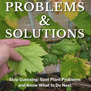 Balcony & Rooftop Gardening: Problems & Solutions book cover