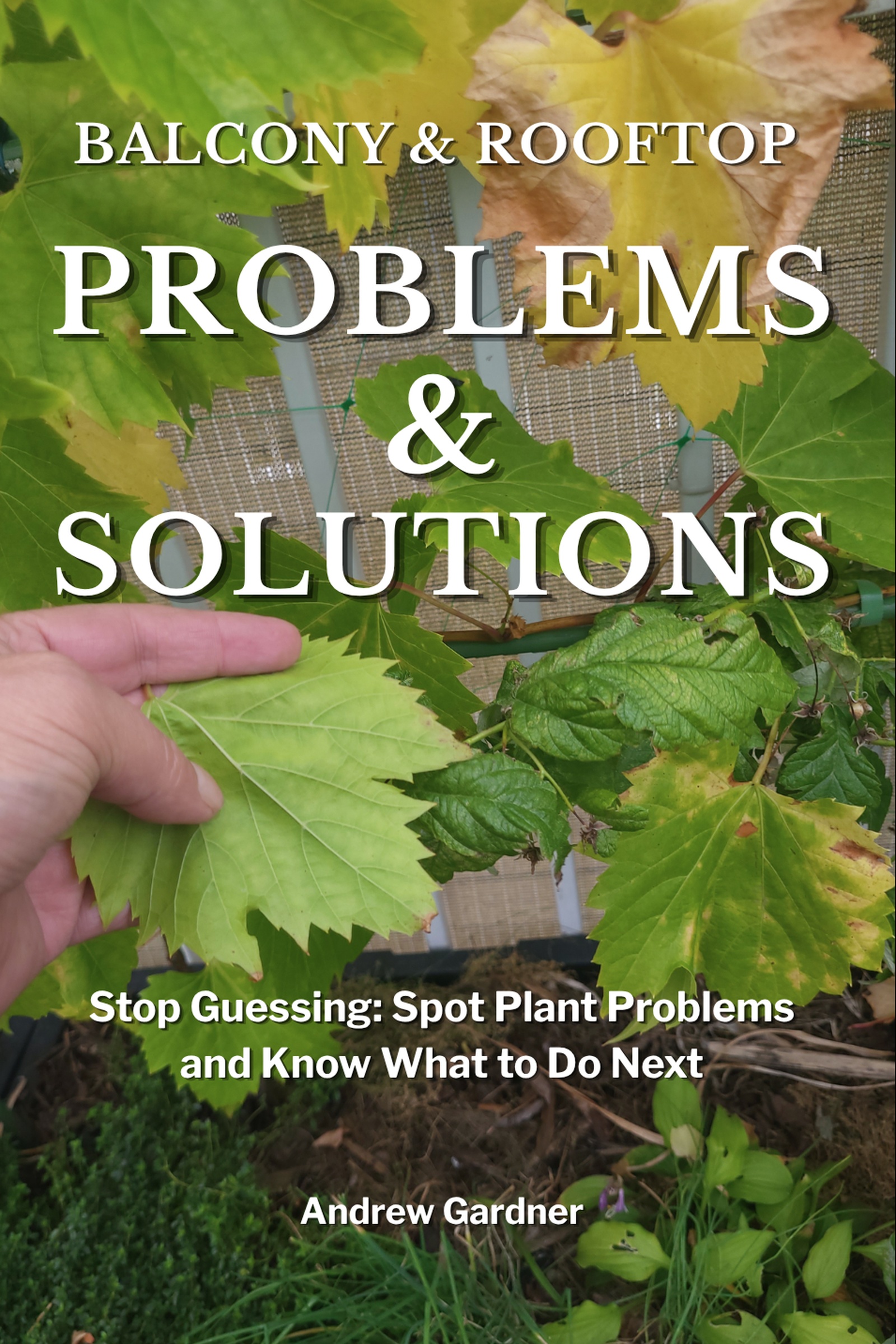 Balcony and Rooftop Gardening Problems and Solutions book cover